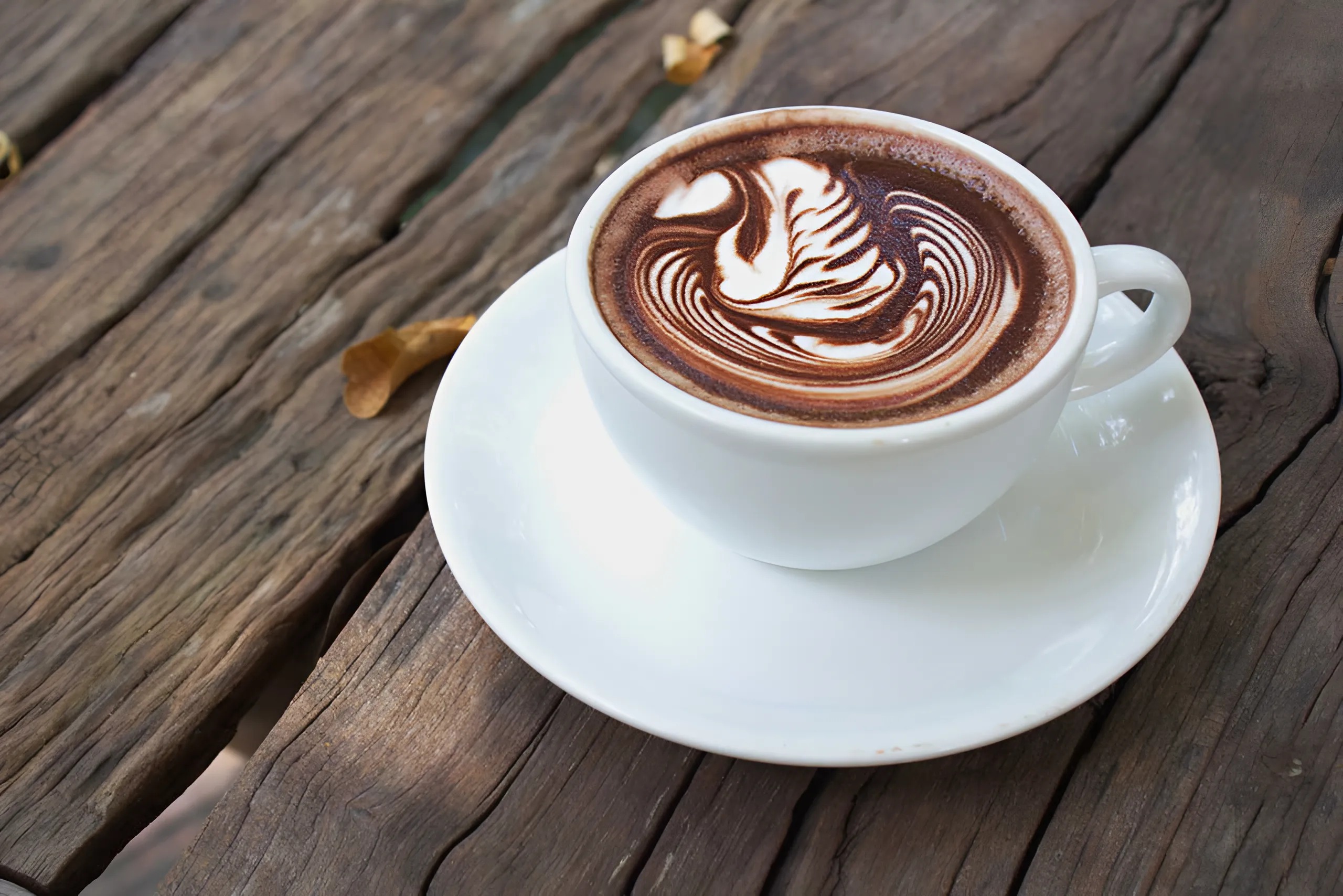 𝑴𝑶𝑪𝑯𝑨 𝑳𝑨𝑻𝑻𝑬