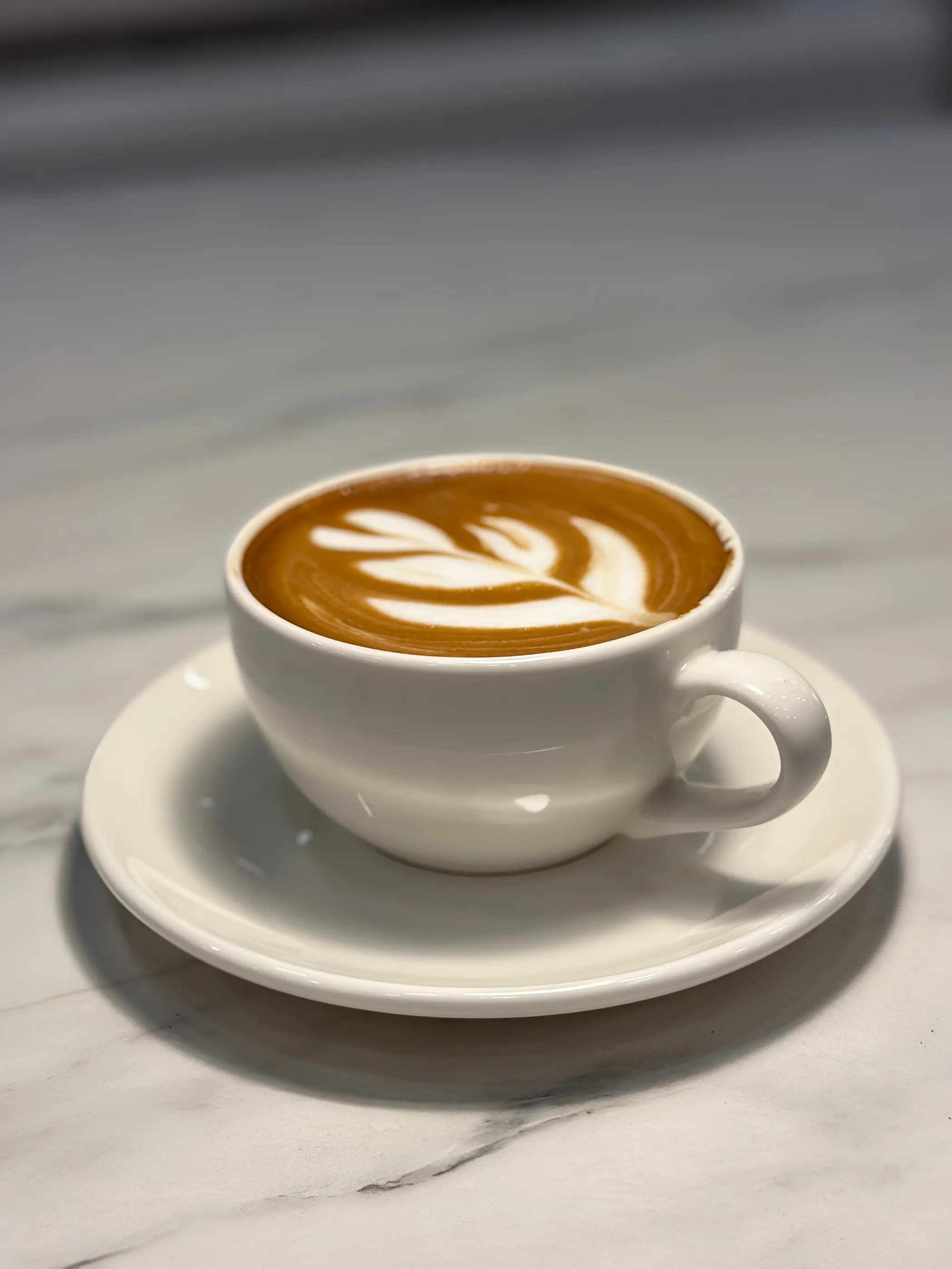 𝑽𝑨𝑵𝑰𝑳𝒀𝑨 𝑳𝑨𝑻𝑻𝑬